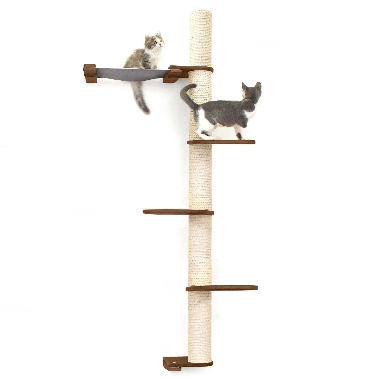 The Crow's Nest - A Wall Cat Scratcher with Hammock