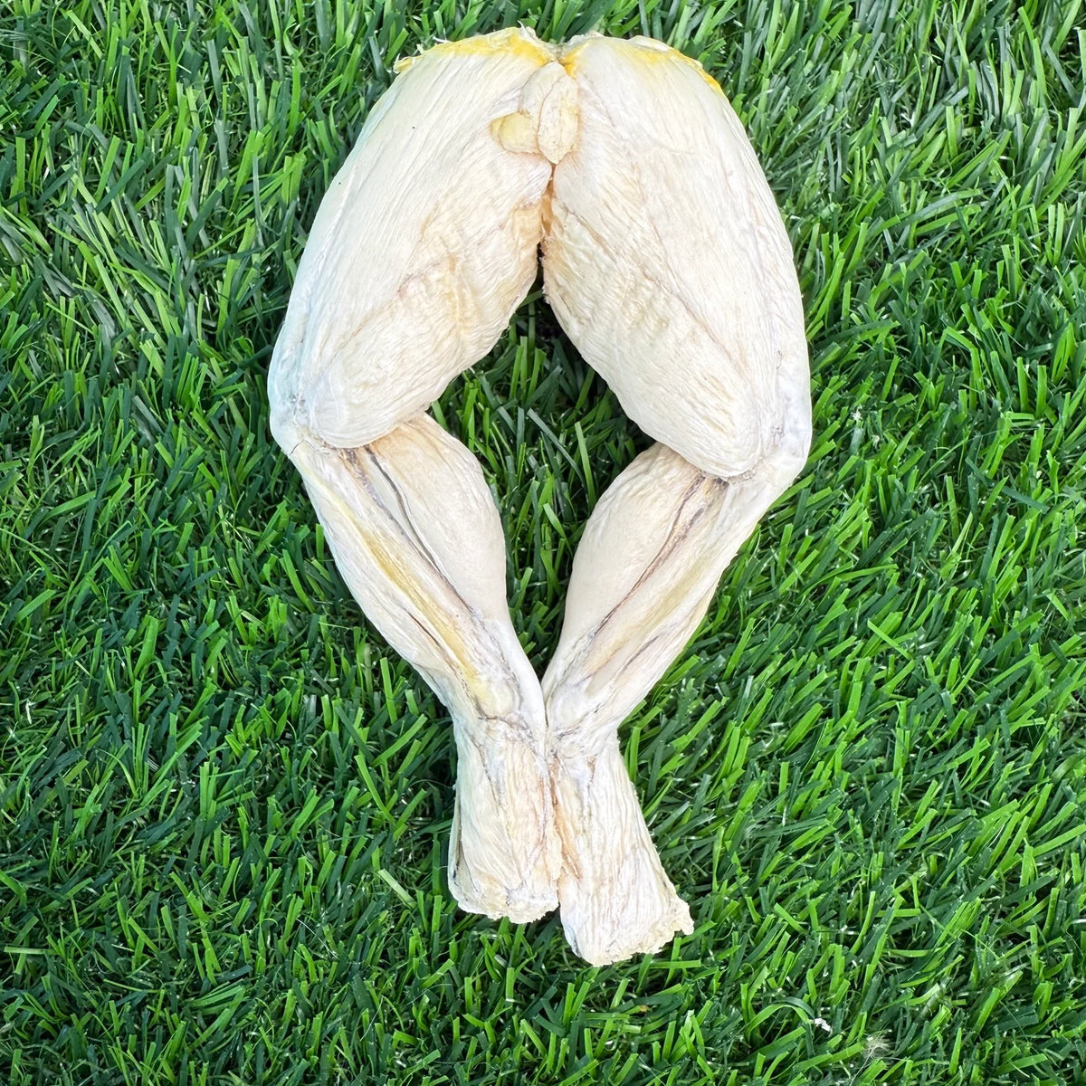 Freeze-Dried Frog Legs - 1 Count