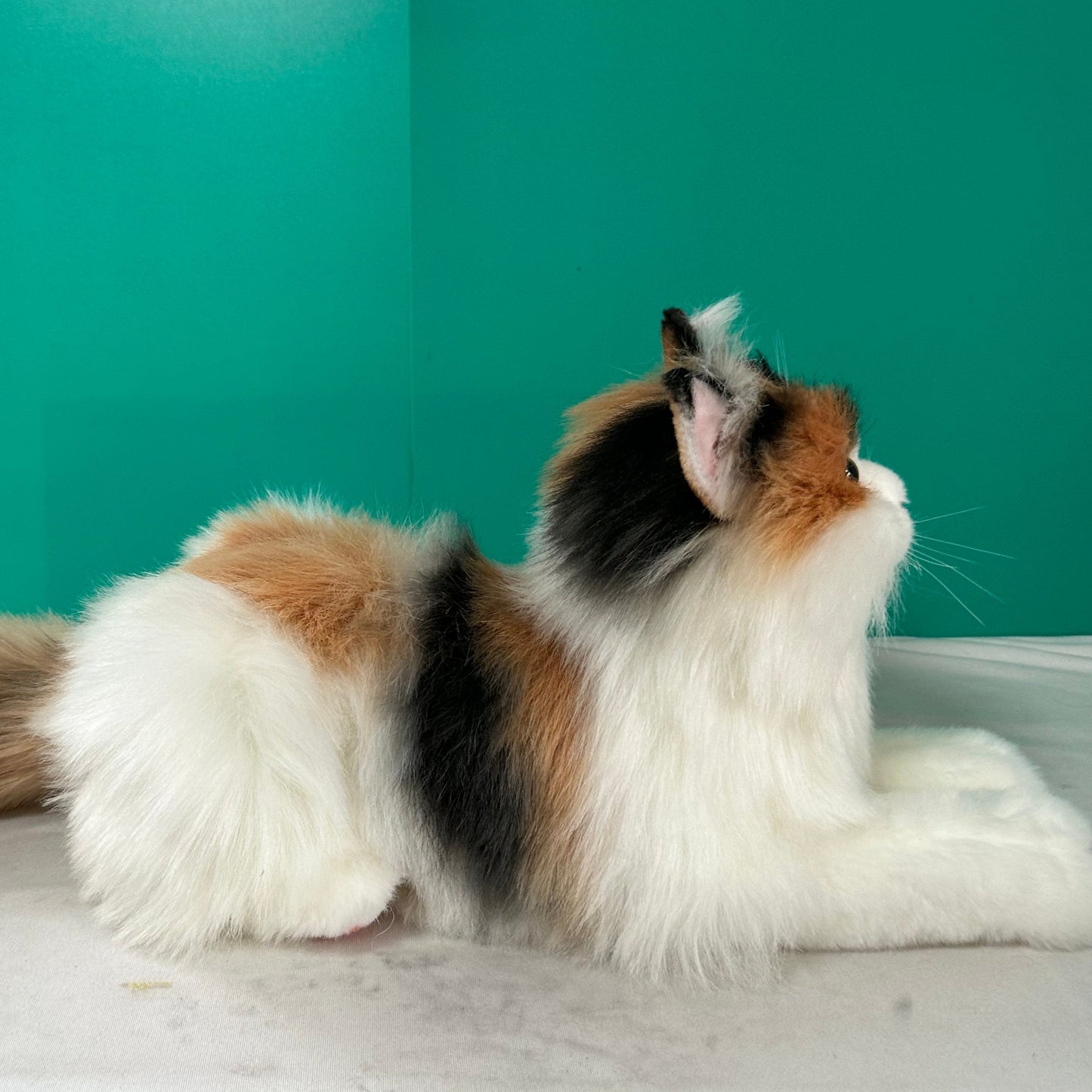 Plush Calico Cat Order to Make