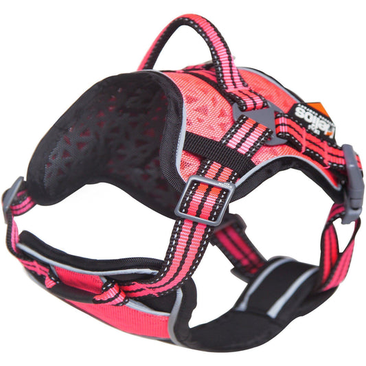 Dog Helios ® 'Journey Wander' Chest Compressive Sporty Adjustable Dog Harness and Leash