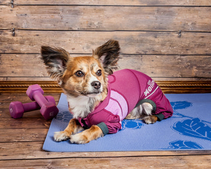 Dog Helios ® 'Namastail' Lightweight 4-Way-Stretch Yoga Performance Dog Tracksuit Hoodie