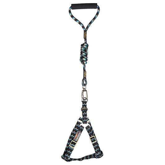 Dog Helios 'Surfside' Adjustable Dog Harness and Leash