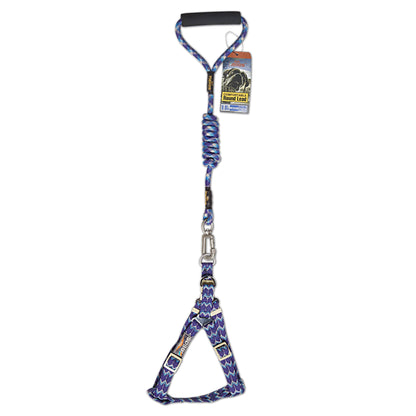 Dog Helios Surfside Designer Leash and Harness