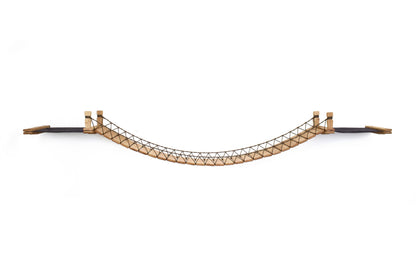 Double Cat Hammock and Climbing Bridge Combo