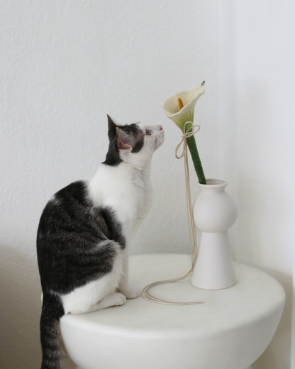 Flora Wand