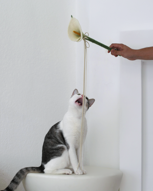 Flora Wand