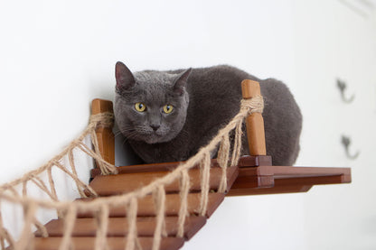 Cat Wall Bridge and Shelf Set