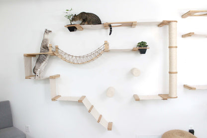 The Juggernaut - Indoor Cat Playground for Wall