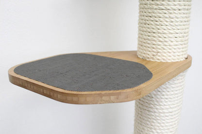 The Climb Condo - Cat Wall Climbing System