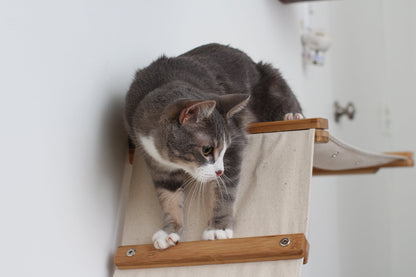 The Lift- Cat Hammock Bed