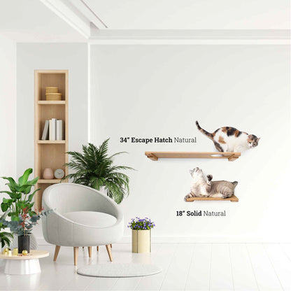 Wall Mounted Cat Shelf