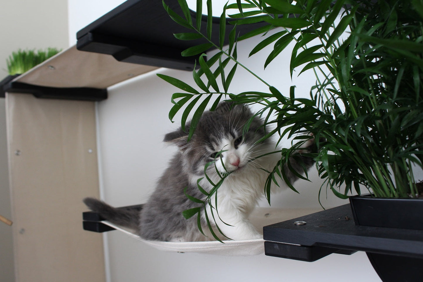 The Gardens - Modern Cat Tree with Plants