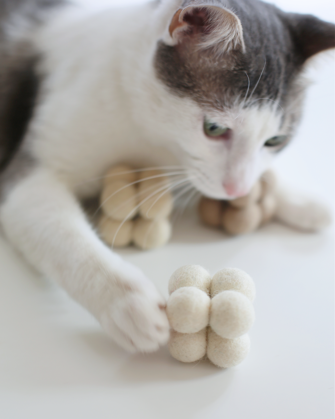 Pearl Toys
