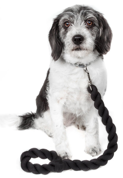 Pet Life ® 'Tough-Tugger' Industrial-Strength Shock Absorption Woven Pet Dog Leash