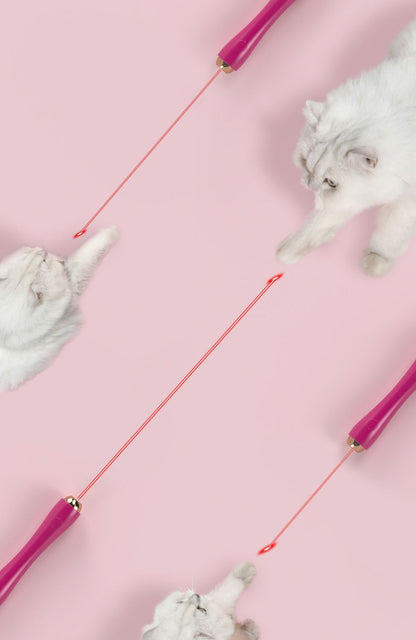 Pet Life ® 'Wander-cat' Customizeable and Extendable 10-in-1 Attachment Laser Cat Teaser