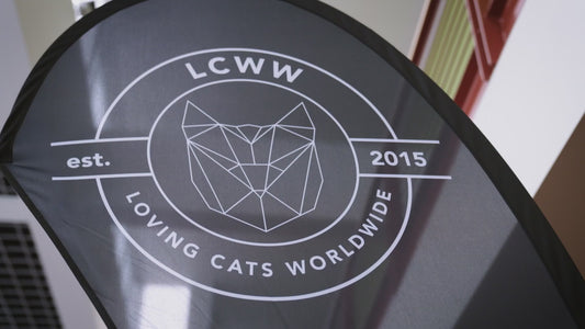 Brandon Boutique CATSTRAVAGANZA® Sunday, March 29, 2026