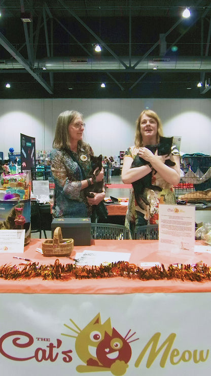 Sarasota CATSTRAVAGANZA® January 24th, 2026
