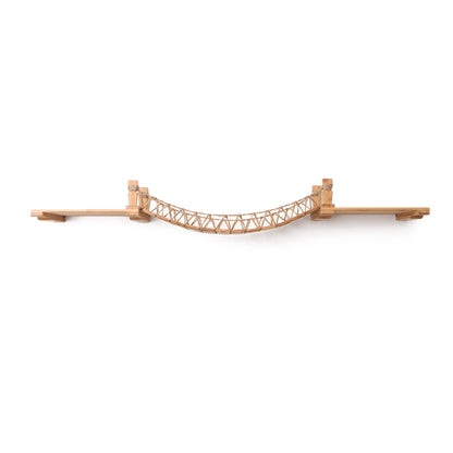 Cat Wall Bridge and Shelf Set
