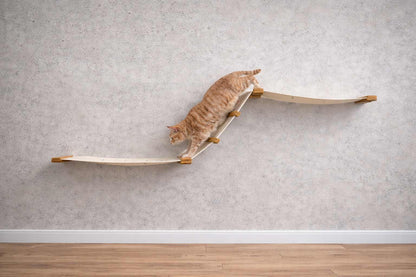 The Raceway - Wall Mounted Cat Hammock