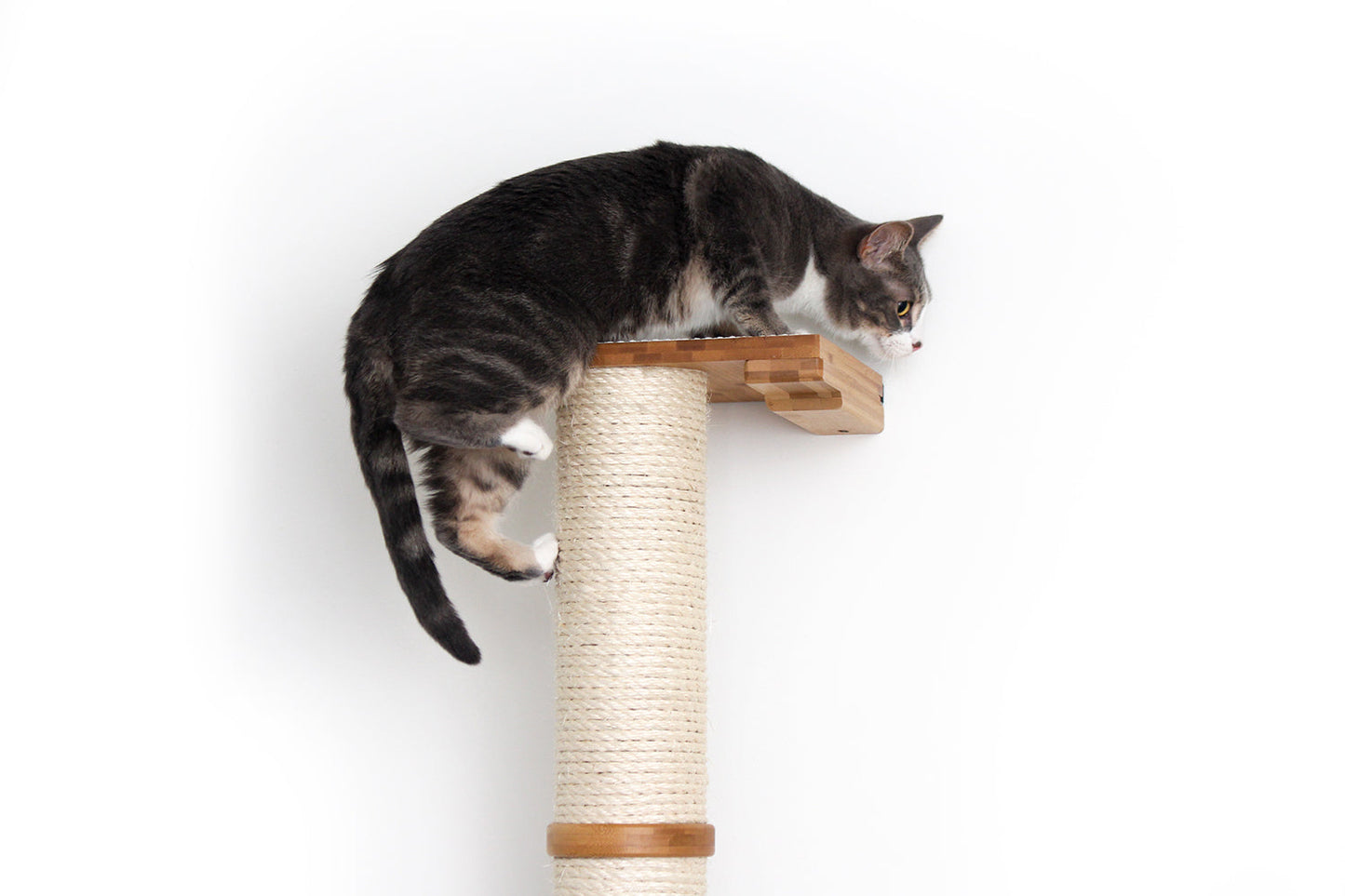 Wall Mounted Cat Climbing Pole - Sisal