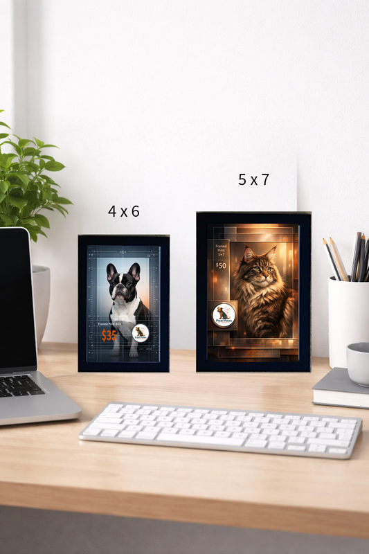 Between Pumpkins and Moons