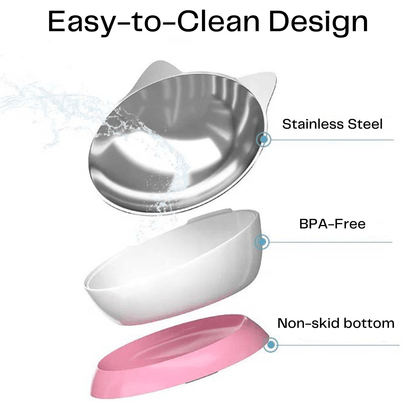 Stainless Steel Elevated Angled Cat Bowl